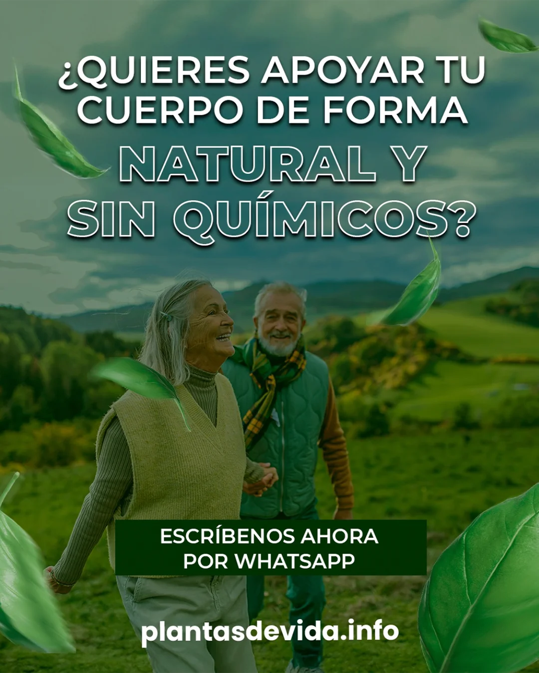 plantasdevidainfo.info Instagram