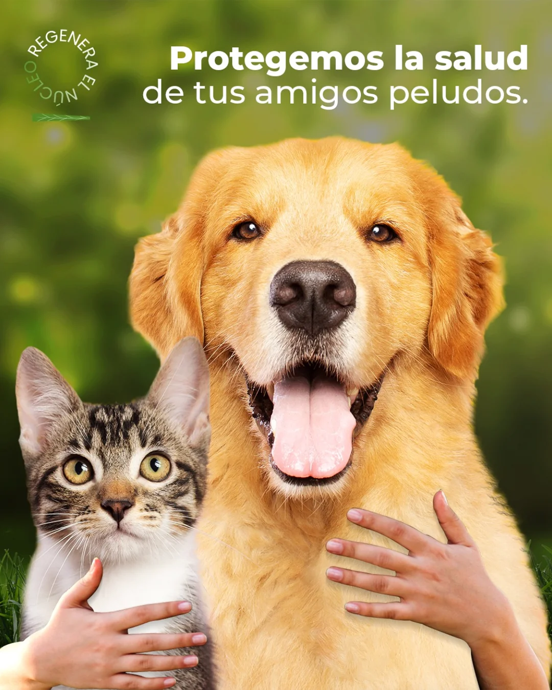 plantasdevidainfo.info Instagram