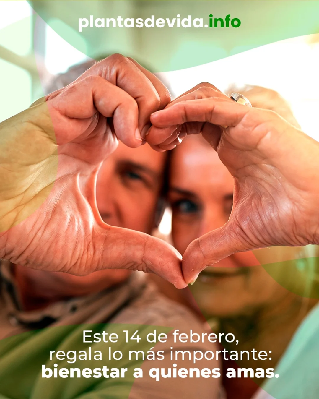 plantasdevidainfo.info Instagram